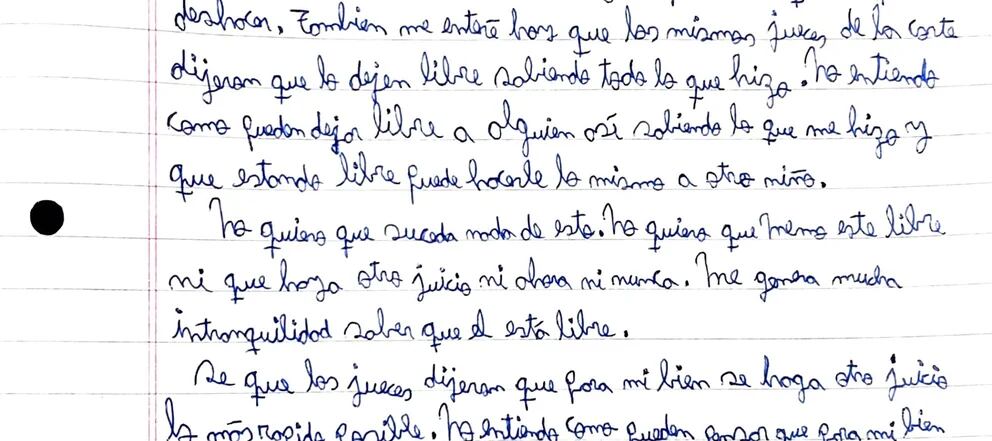 El niño estadounidense que espera justicia por un abuso sexual y la nota de  la embajada para la Corte Suprema tucumana - Infobae