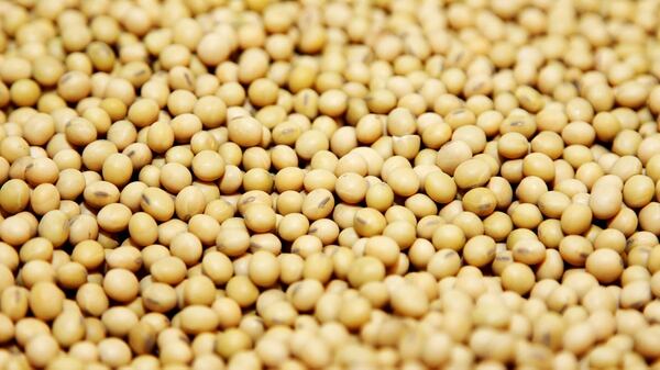 En el segmento de la harina de soja, Argentina difícilmente pueda ser reemplazada a la hora de abastecer al mundo de este alimento, las subas ascendieron al 12% hasta los USD 415,5 la tonelada.