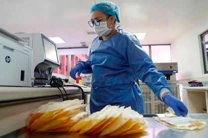 Una enfermera organiza muestras de plasma de convaleciente para tratar pacientes con COVID-19 hoy, en el Instituto Distrital de Ciencia Biotecnología e Innovación en Salud, en Bogotá; Colombia (EFE/ Carlos Ortega)
