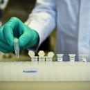 FOTO DE ARCHIVO: Un empleado de la compañía biofarmacéutica alemana CureVac, demuestra el flujo de trabajo de investigación sobre una vacuna contra la enfermedad por coronavirus (COVID-19) en un laboratorio en Tuebingen, Alemania. Este laboratorio no participó, sin embargo, de esta investigación (Reuters)
