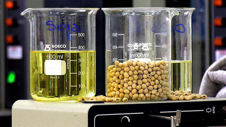 Argentina registró récords de producción y ventas de biodiésel y bioetanol.