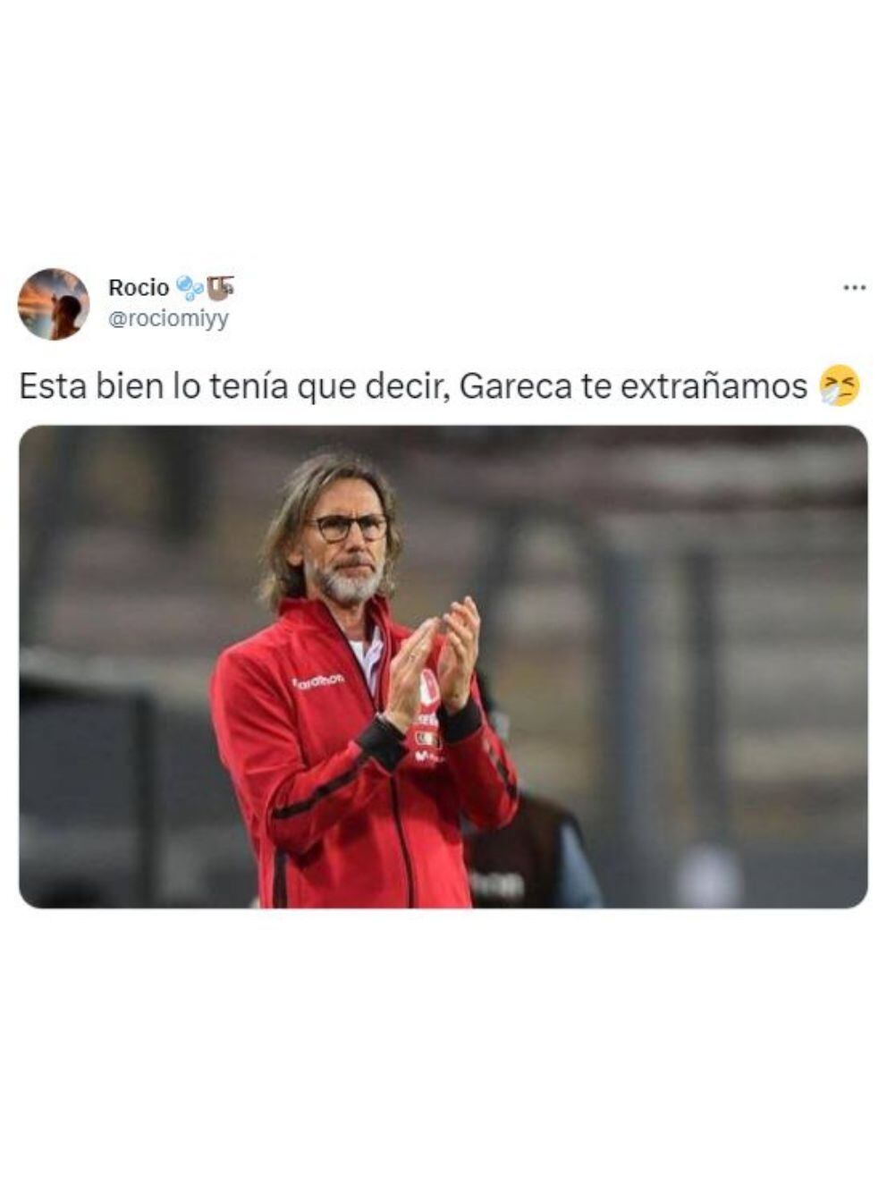 Memes de Ricardo Gareca