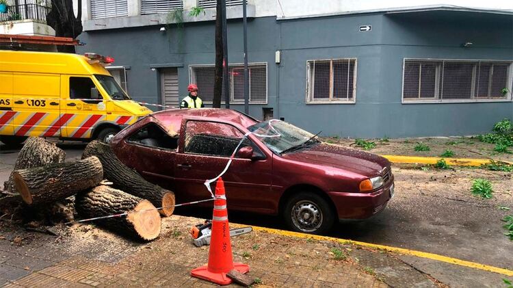 Un VW Gol quedó destruído por la caída de un árbol en Parque Chas