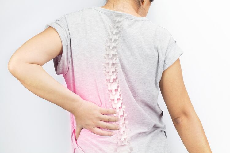 La osteoporosis es una enfermedad caracterizada por una baja masa ósea (Shutterstock)