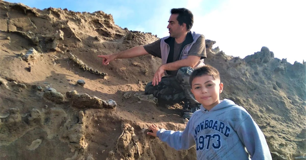 He is 8 years old, a fan of dinosaurs and found fossils from the Ice Age in Miramar.