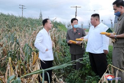 El líder norcoreano, Kim Jong Un, inspecciona el área dañada por el huracán en la provincia de Hwang, en el sur de Corea del Norte, en la foto publicada por la Agencia Central de Noticias de Corea del Norte (KCNA) el 27 de agosto de 2020.  (KCNA vía REUTERS)