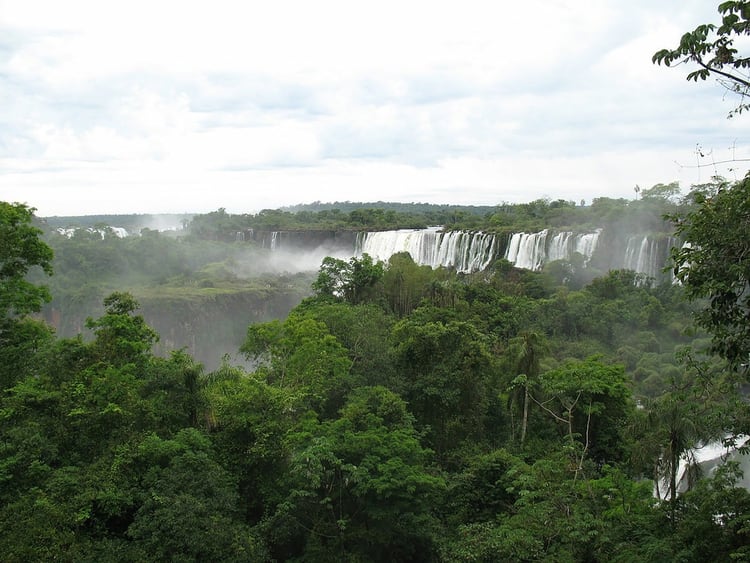 La selva misionera cobija atenta y diversa a las Cataratas del Iguazú  (Wikipedia)