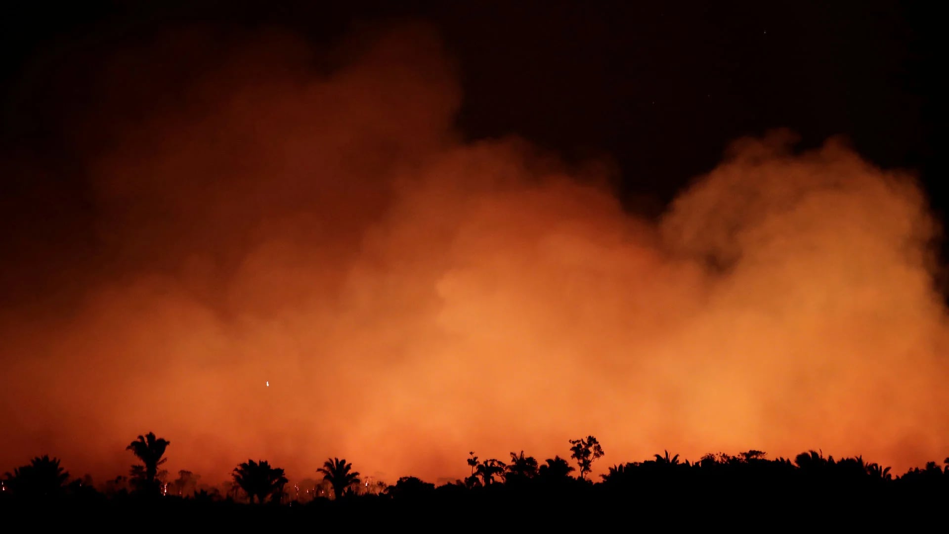 La región amazónica brasileña sufre los peores incendios forestales de los últimos años (Reuters)