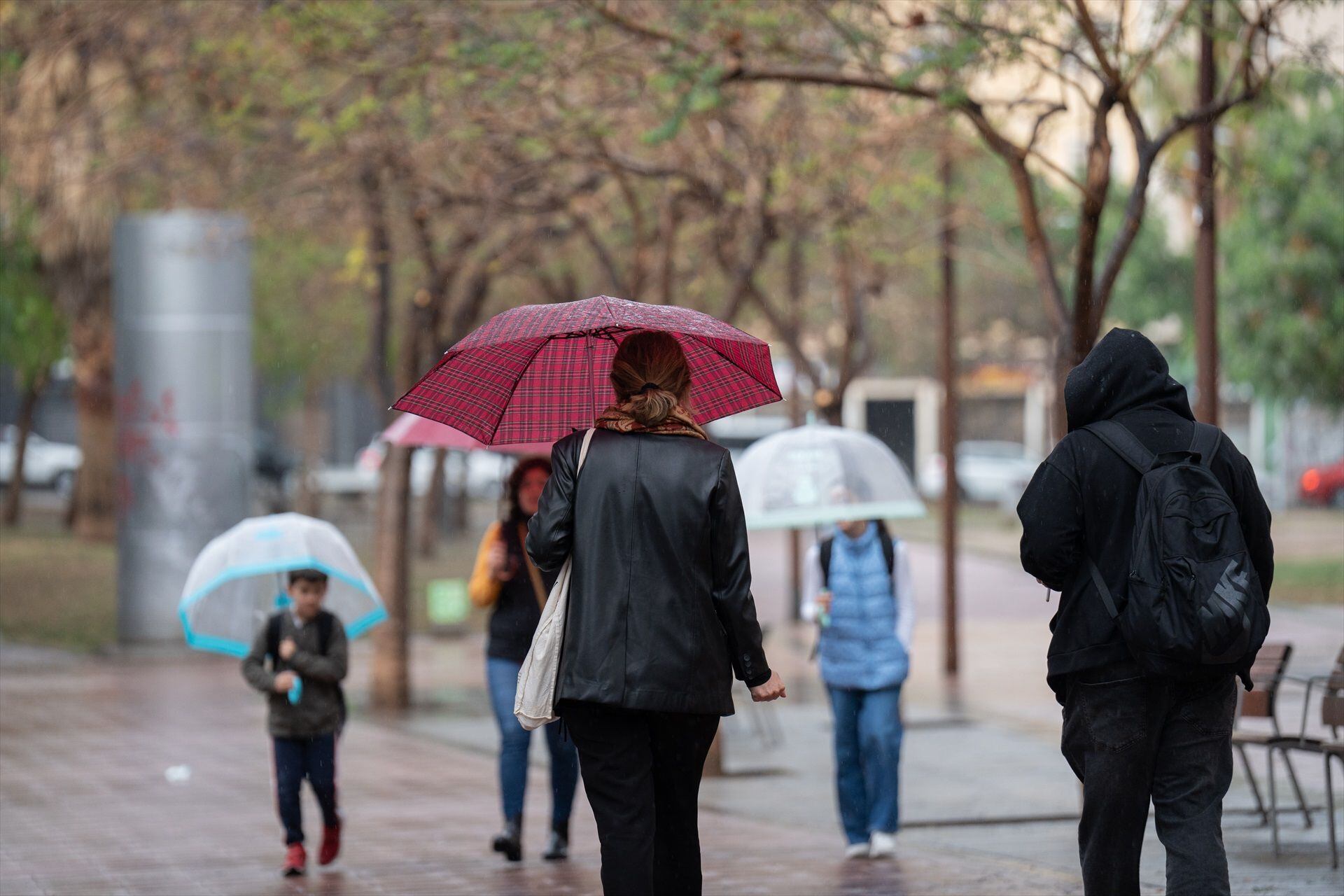 Varias personas con paraguas pasean por una de las calles de Barcelona. (David Zorrakino / Europa Press)