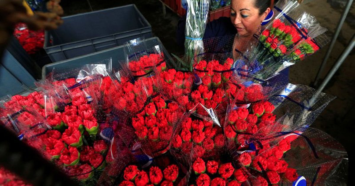 “Moderate optimism regarding this important date”: Asocolflores about the Valentine’s season