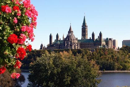 Parlamento de Canadá, ubicado en la capital de la nación, Ottawa.  Foto: Pixabay.