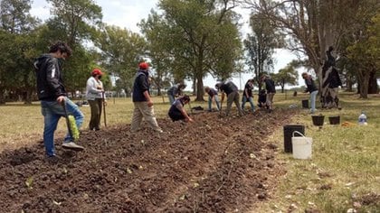 La imagen que compartió el proyecto Artigas a pocos días de la ocupación