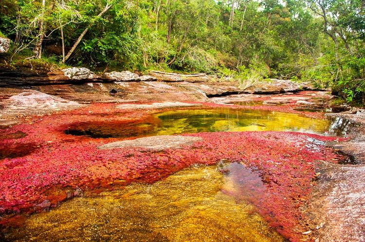 Debido al reflejo del sol y el color de las exóticas plantas, las aguas se tiñen de distintos colores