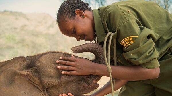 Mary Lengees, una de las primeras mujeres en dedicarse a la protección de los elefantes en el Santuario de Elefantes Reteti, en Kenia 