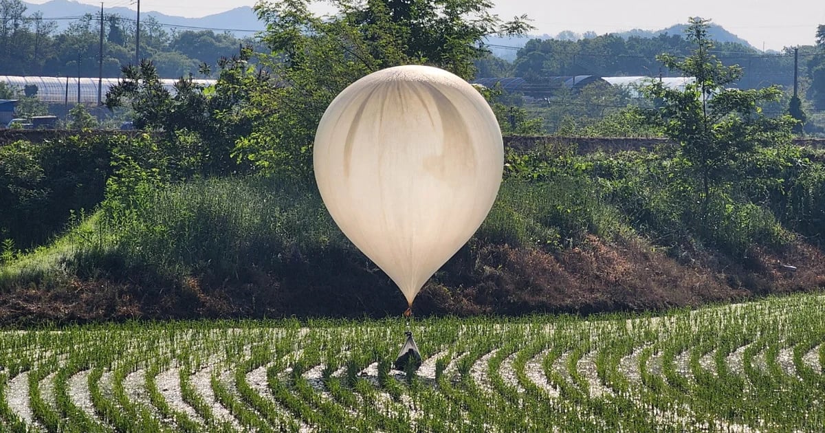 The South Korean Army denounced the large cargo of balloons with waste from North Korea within the midst of an escalation of tensions