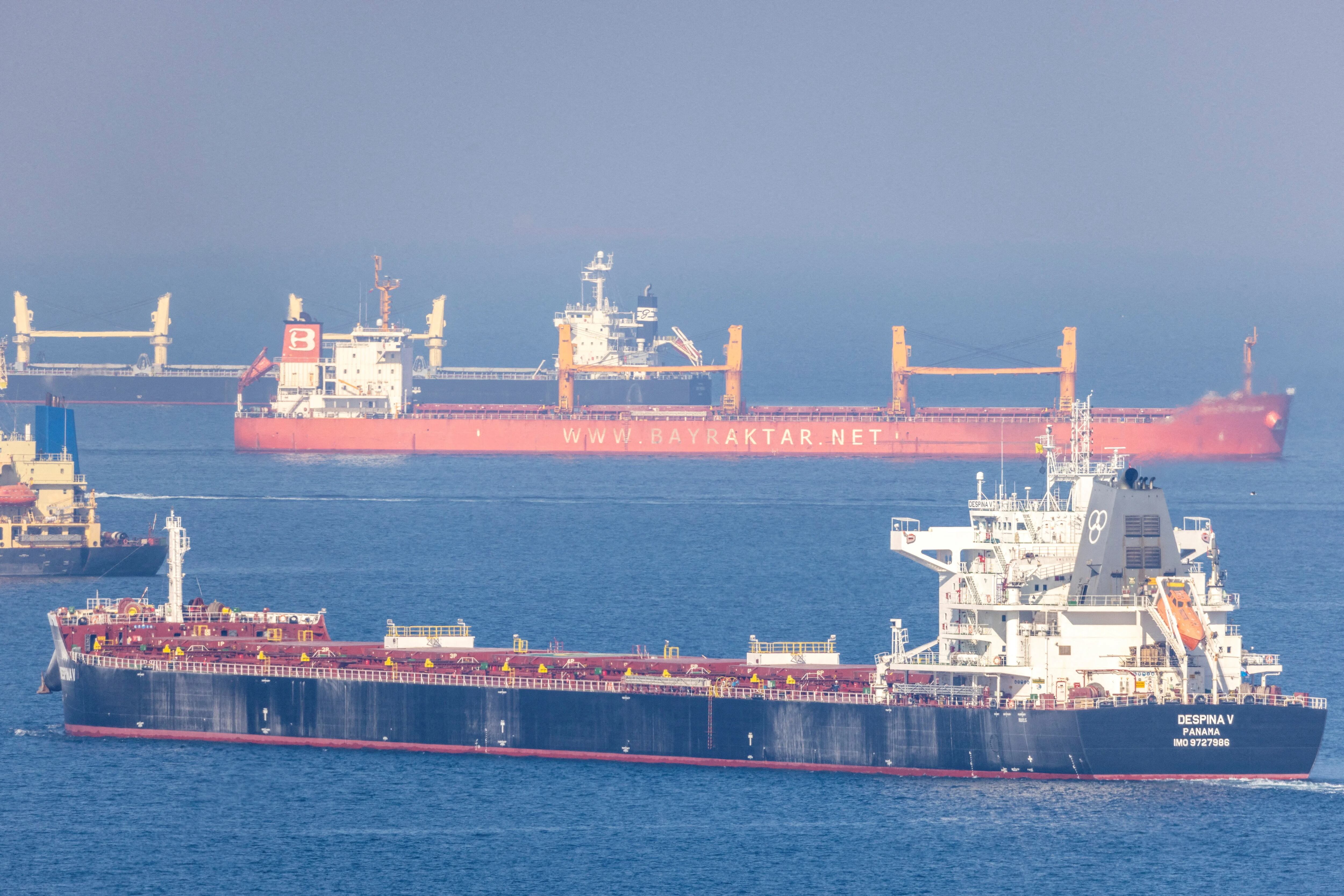 El carguero Despina V, que transporta grano ucraniano, en el Mar Negro frente a Kilyos, cerca de Estambul (Turquía) (REUTERS/Umit Bektas/Archivo)