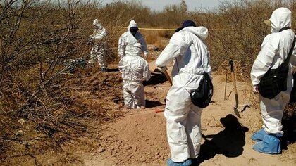 Son 3,700 fosas clandestinas de las que tienen reporte en la presenta administración (Foto: Archivo) 