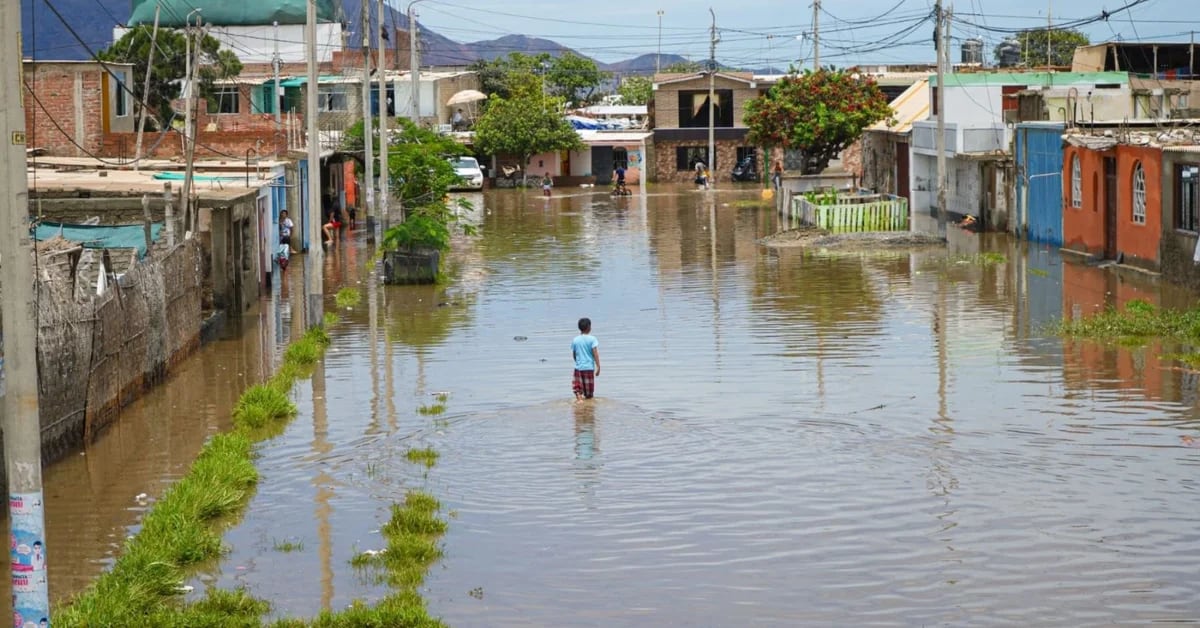 Rains LIVE: Red alert in Piura, Tumbes and northern regions due to rainfall and increased river flow