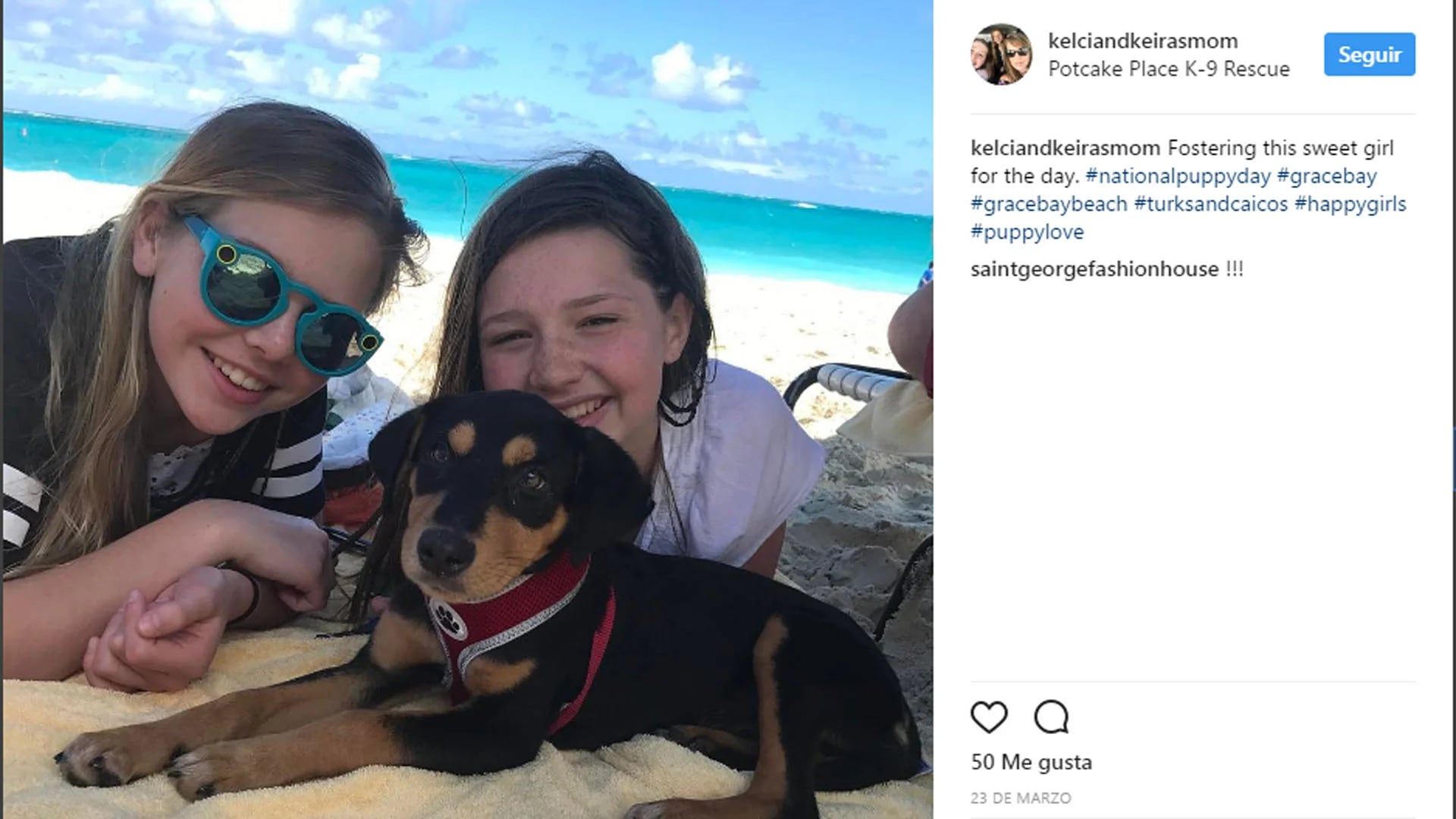 Los turistas que compartan el tiempo con los cachorros tendrán la opción de adoptarlos (Instagram)