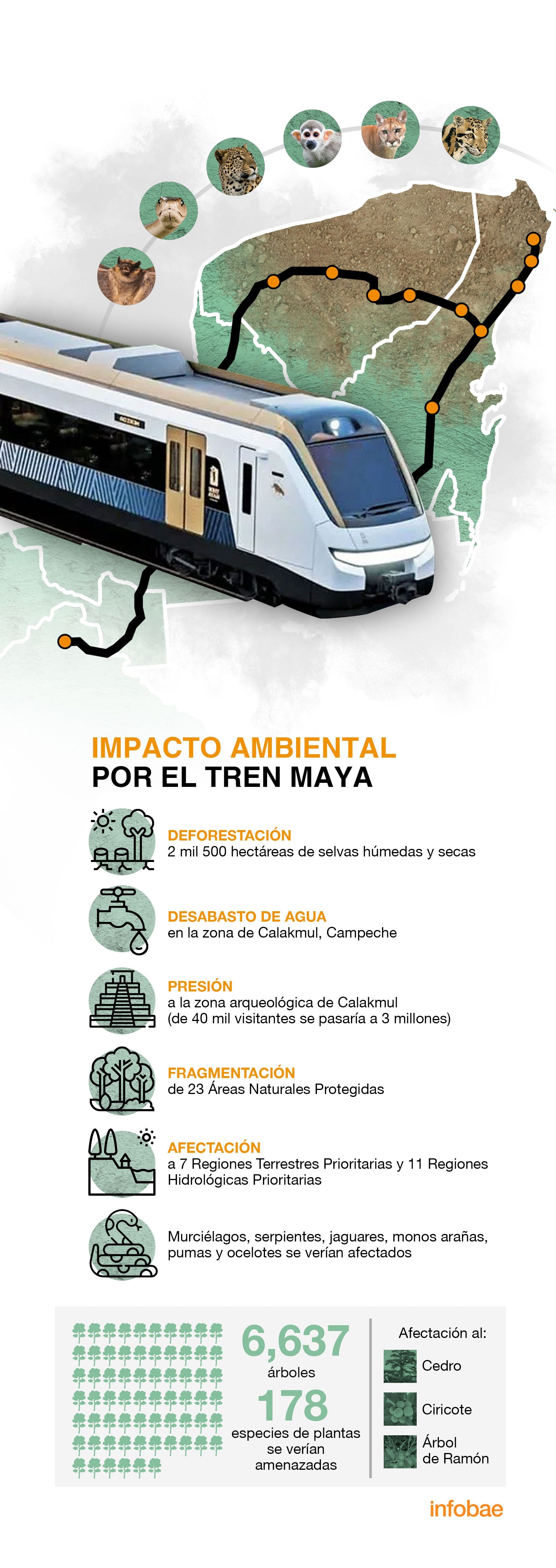 Tren Maya environmental impact infographic