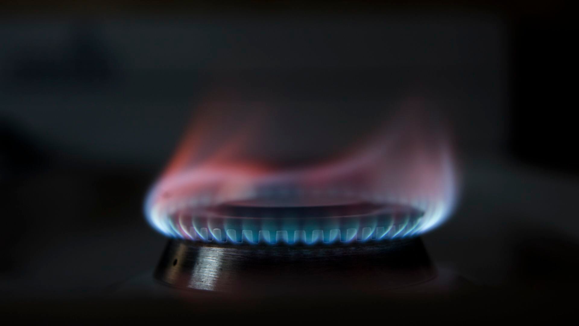 Los usuarios de altos ingresos pagan la tarifa plena de gas natural desde comienzos de año (Adrián Escandar)