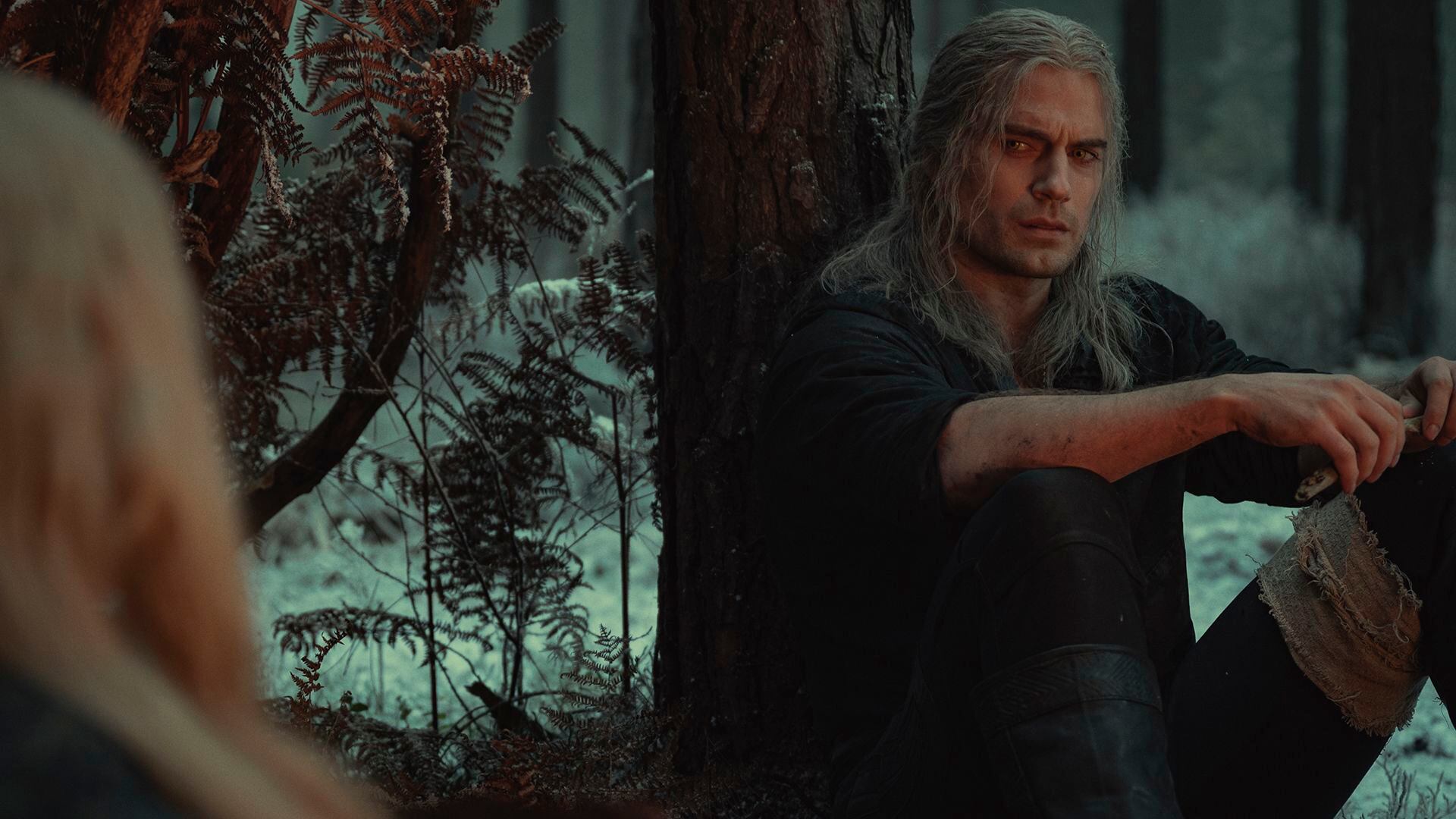 The Witcher