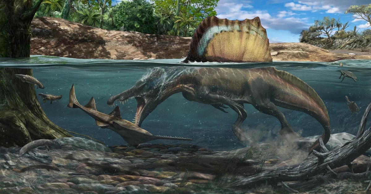Hanno dimostrato che i più grandi dinosauri carnivori vivevano nell’acqua