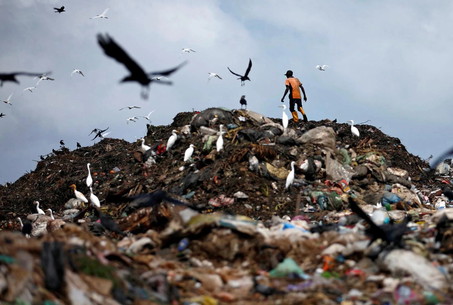 Un hombre recoge plástico para reciclar en un vertedero de basura en Colombo, Sri Lanka