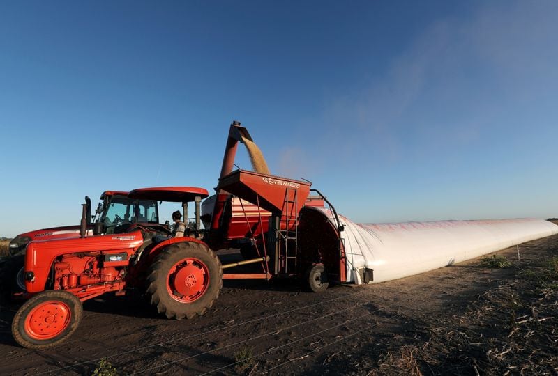 Foto de archivo: un tractor descarga granos de soja en un silo en un campo en la ciudad de Chivilcoy, en la provincia de Buenos Aires, Argentina. 8 abr, 2020. REUTERS/Agustin Marcarian/