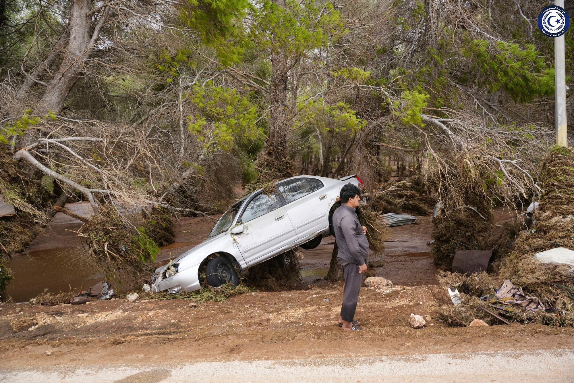 Esta imagen difundida por el gobierno de Libia muestra a un vehículo sobre un árbol  (AP)