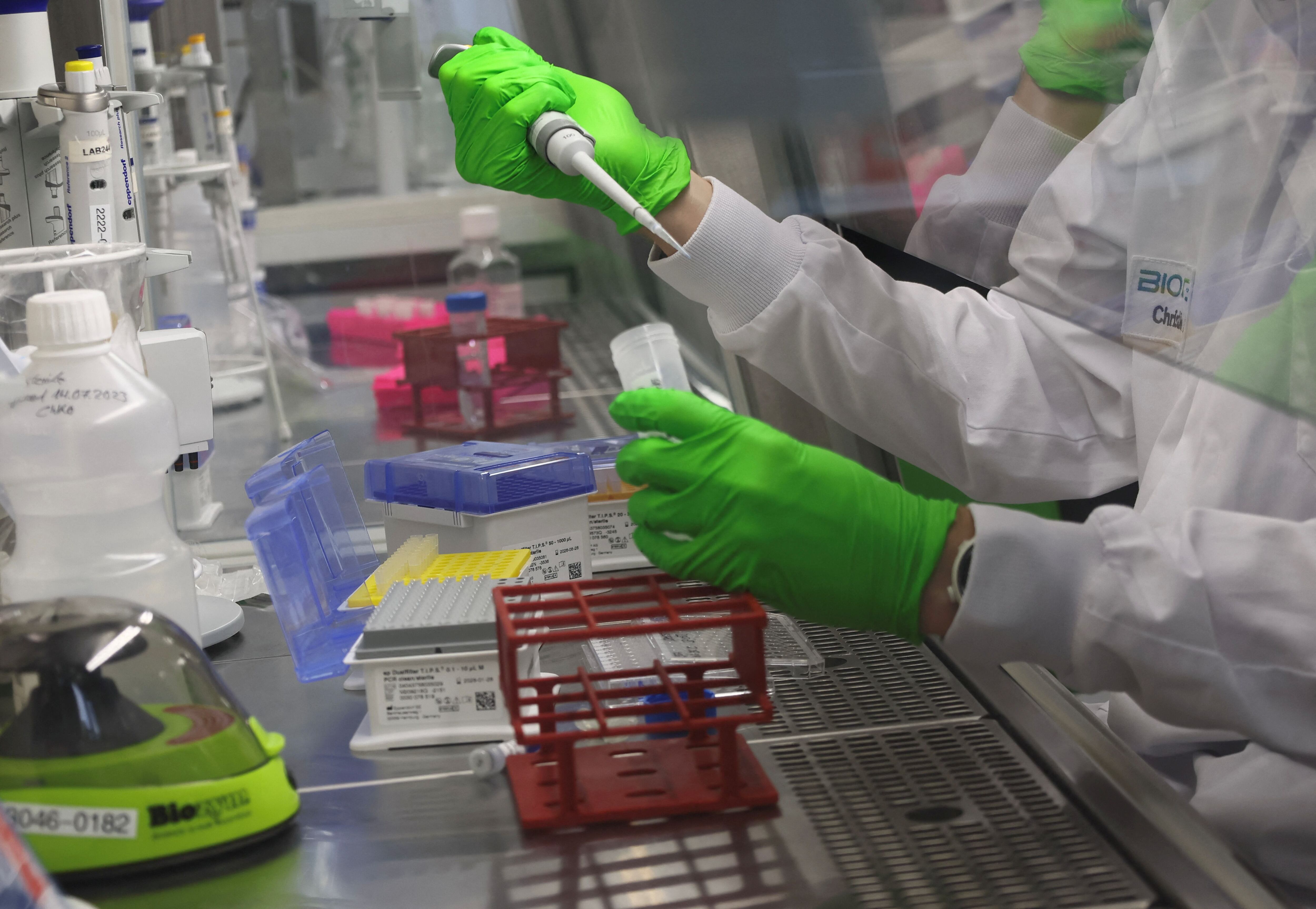 Los investigadores usaron el modelo para analizar un conjunto de aproximadamente 900 tumores de pacientes (REUTERS/Wolfgang Rattay)
