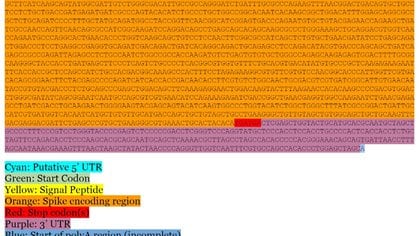 El código del ARN mensajero publicado