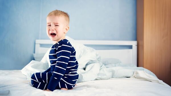 En el proyecto colaboran investigadores del Instituto Nacional de Rehabilitación, la Universidad Autónoma Metropolitana (UAM), la Universidad de Florencia y la de Lieja (Getty Images)