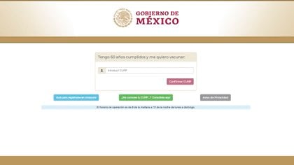 El registro para las vacunas (Foto: Gobierno de México)