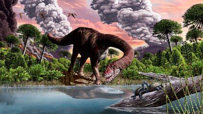El bagualia es el más antiguo de los grandes saurópodos de cuello largo, los llamados verdaderos saurópodos