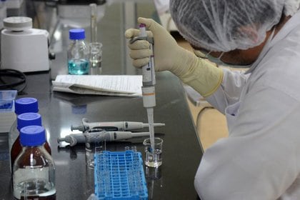 Un científico del Serum Institute of India está trabajando en una vacuna COVID-19 en Pune.  18 de mayo de 2020. REUTERS / Euan Rocha