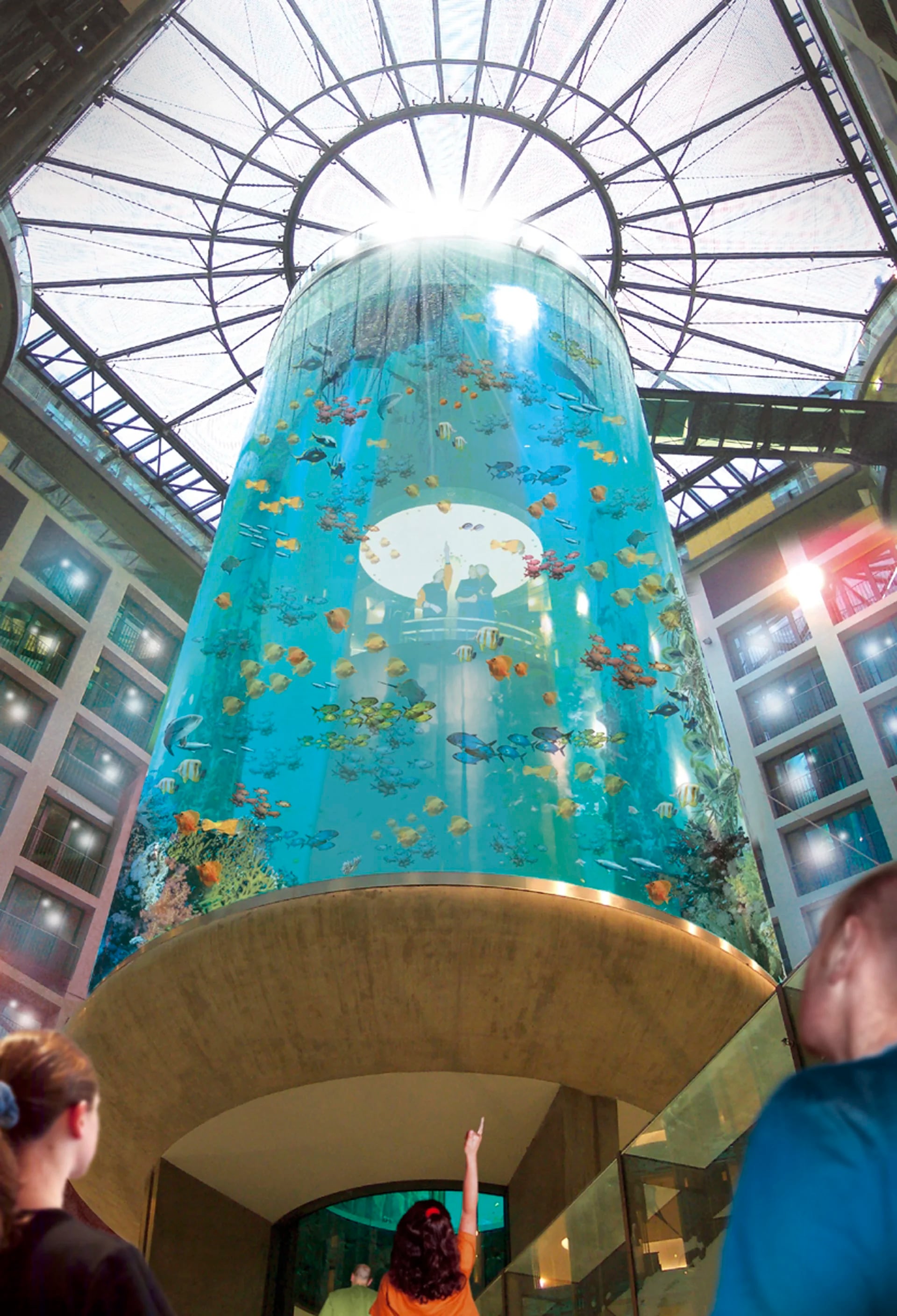 Cuenta con elevador en el interior de la gran pecera permite subir 25 metros rodeado de un millón de litros de agua salada que es el hogar de 1500 criaturas marinas