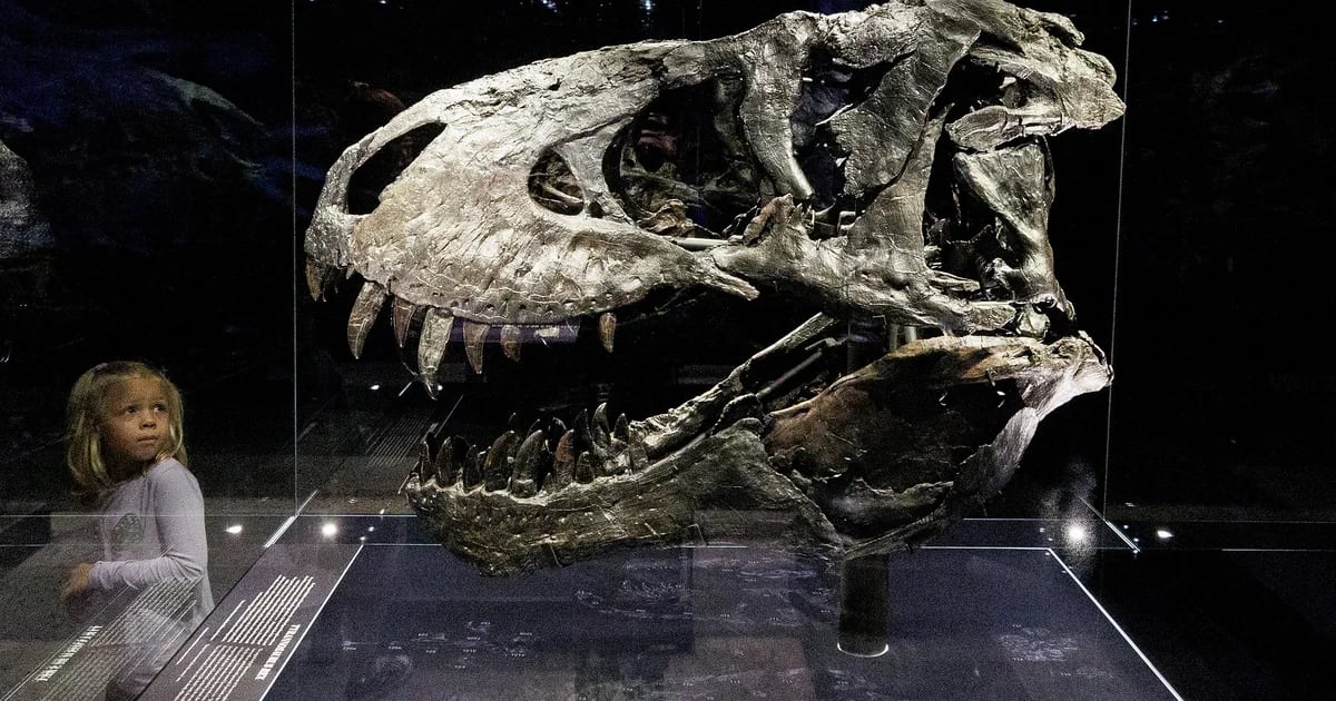 Dinosaurs weren't as smart as we thought, a new study suggests