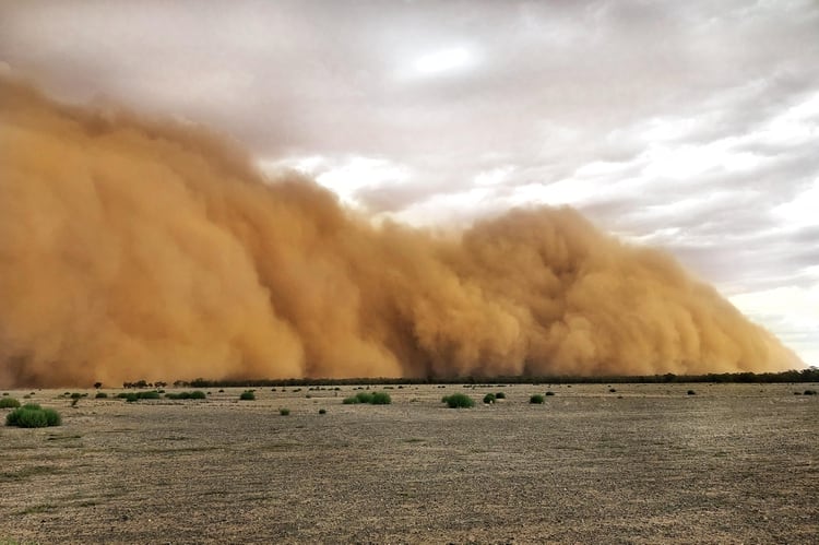 Tormenta de polvo en Nueva Gales del Sur (AFP)