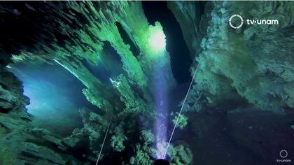 El equipo logró -después de una intensa temporada de trabajo de 10 meses- la conexión de dos de los sistemas de cuevas inundadas más grandes del mundo Foto: (TvUNAM)