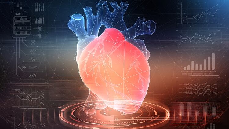 La investigación completa será presentada en las Sesiones Científicas de la Asociación Americana del Corazón (AHA, por sus siglas en inglés) en Dallas el 16 de noviembre (Shutterstock)