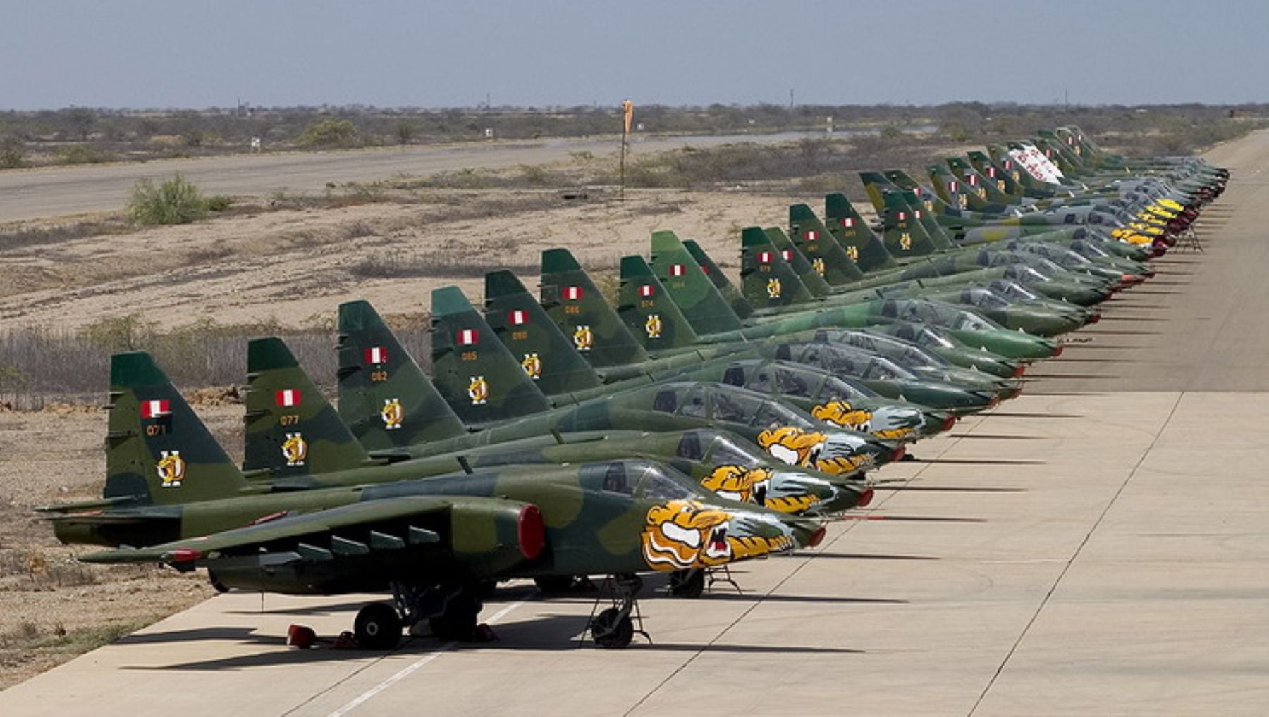 La población peruana busca conocer con que otras aeronaves cuenta las Fuerzas Armadas del Perú, tras la noticia de que se adquirió de España seis 'Morsa' -con 50 años de servicio- a 600 euros. (Andina)