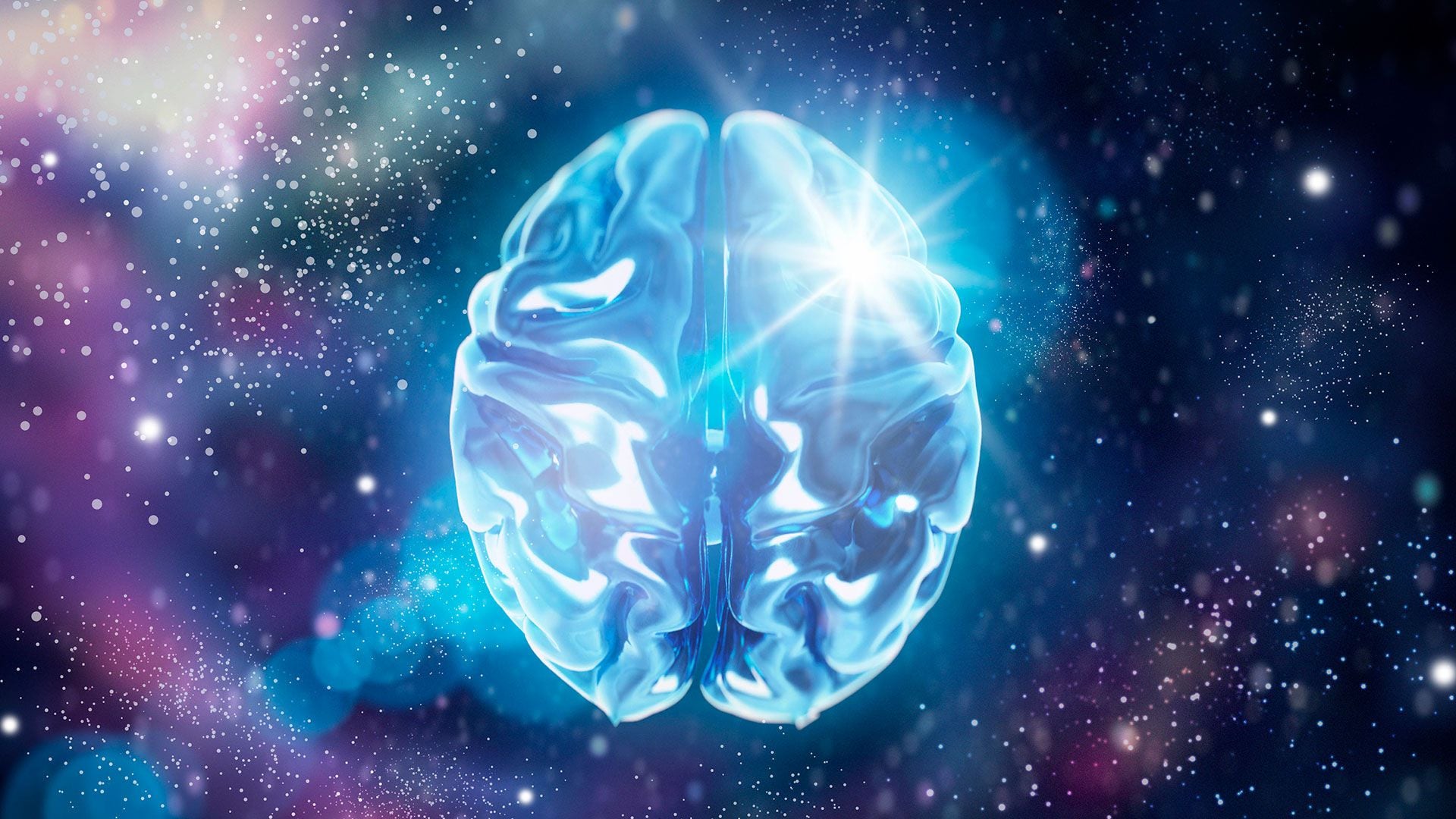 Cerebro universo