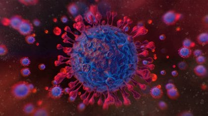 Ilustración del virus SARS-CoV-2 (Foto: Shutterstock)