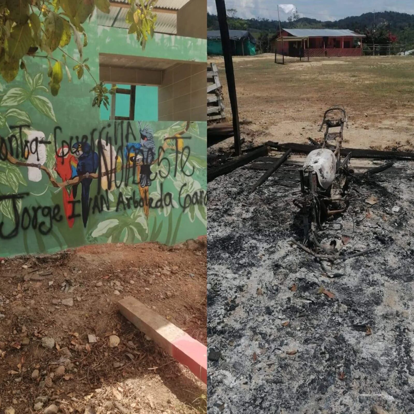 Clan del Golfo quemó cultivos, casas y vehículos en vereda de Segovia, Antioquia, a la que acusan de ser guerrillera