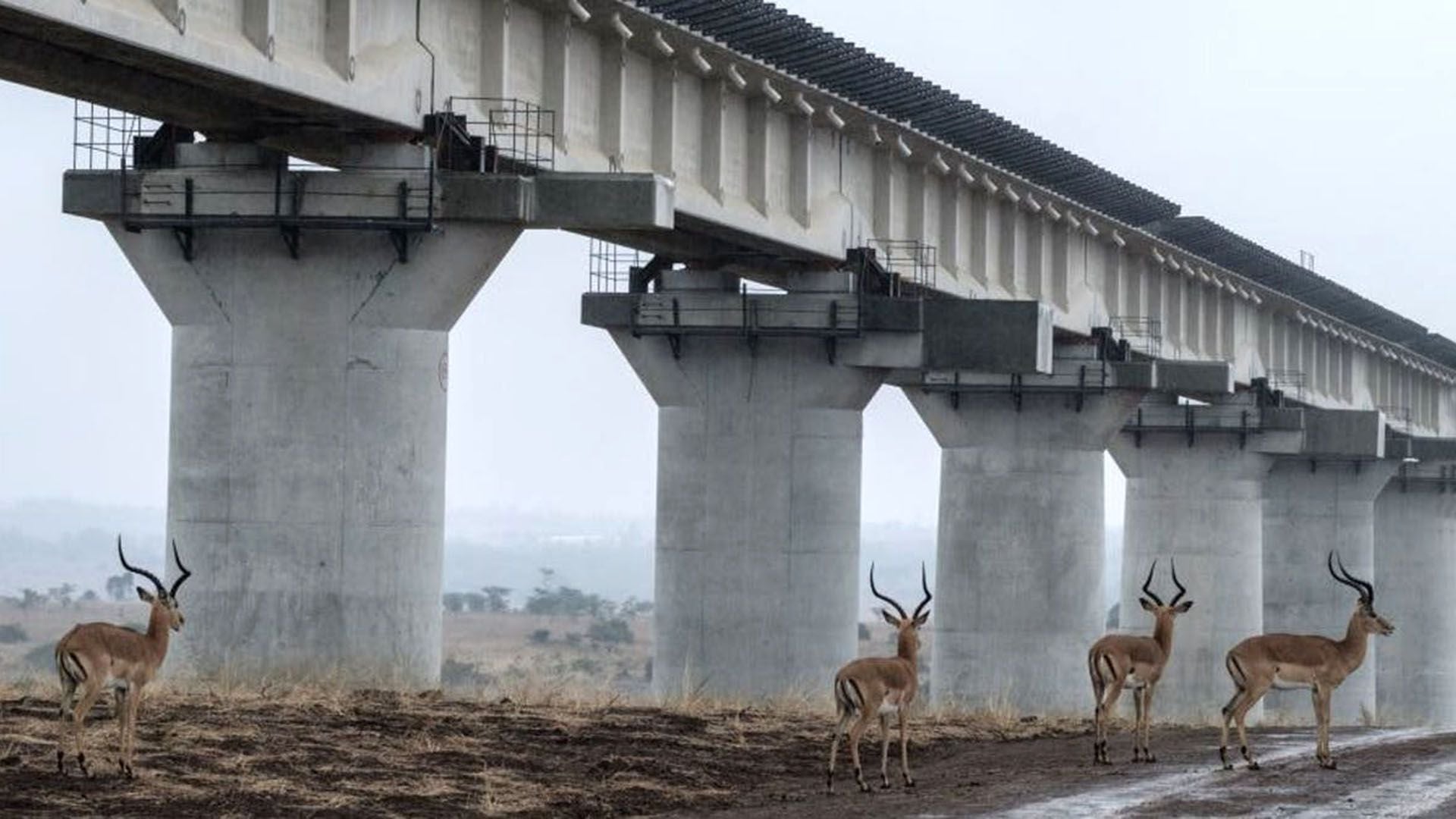 El enorme proyecto ferroviario de China en Kenia tendrá graves consecuencias medioambientales. (ASUYOSHI CHIBA/AFP via Getty Images)