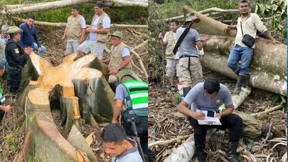 Inspectores corroboraron daños al Área de Conservación Regional Cordillera Escalera. Fotos: Jorge Walter Quevedo