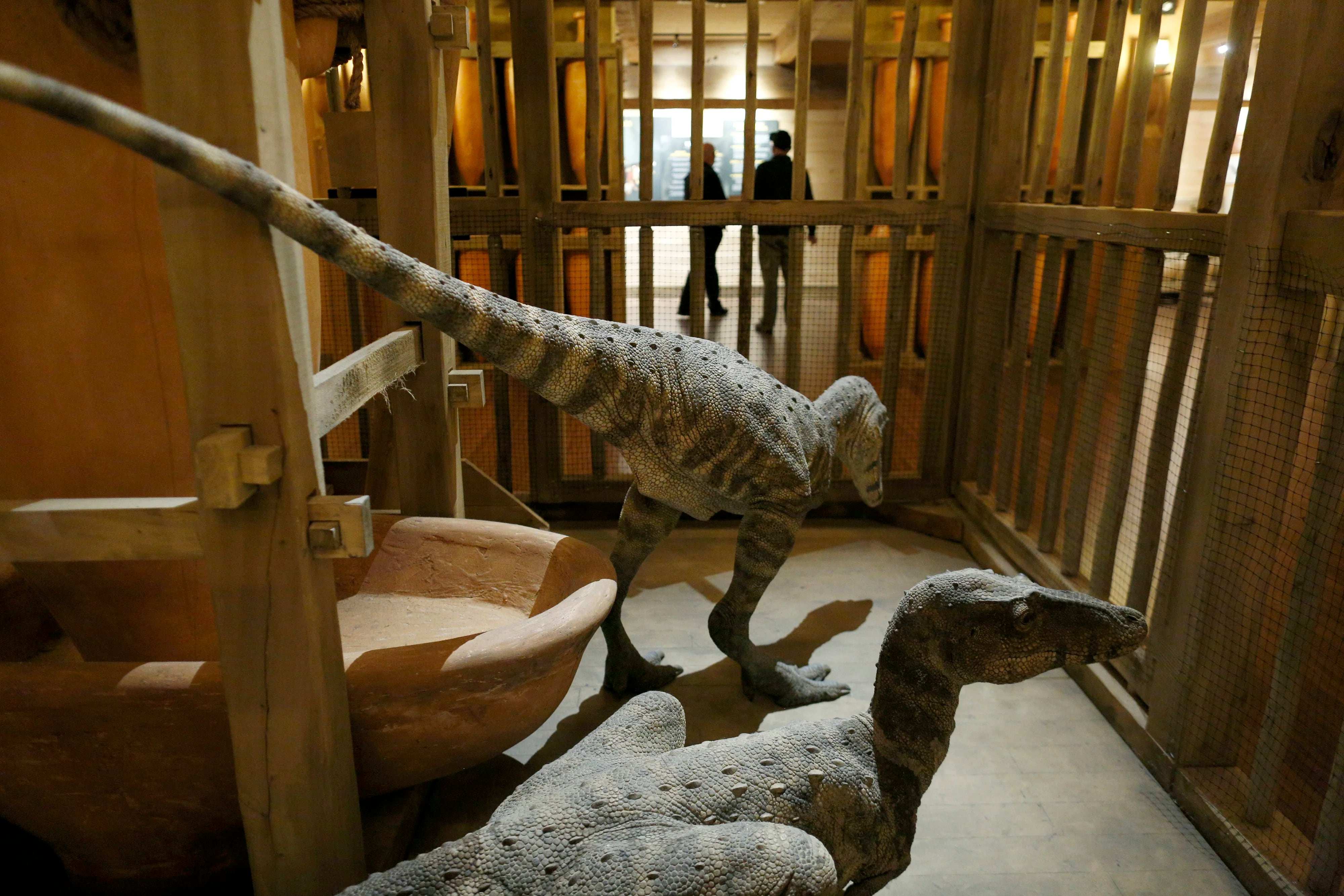 Réplica de dinosaurios dentro de una jaula en el arca. Foto por The Washington Post, Luke Sharrett.