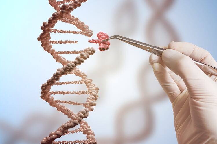 Hasta ahora la edición genética se había hecho sacando células del cuerpo para modificarlas en laboratorio y luego infundirlas nuevamente en la persona. (Shutterstock)