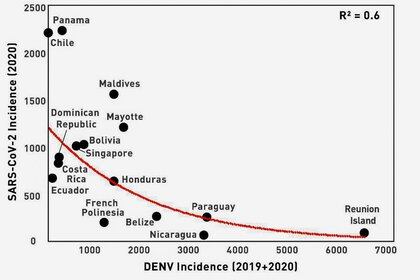 La correlación exponencial inversa entre la incidencia de casos de COVID-19 como una función de la incidencia del dengue en una muestra de países de América Latina, Asia y algunas islas en los océanos Pacífico e Índico en esta imagen sin fecha. UFPB/Handout via REUTERS